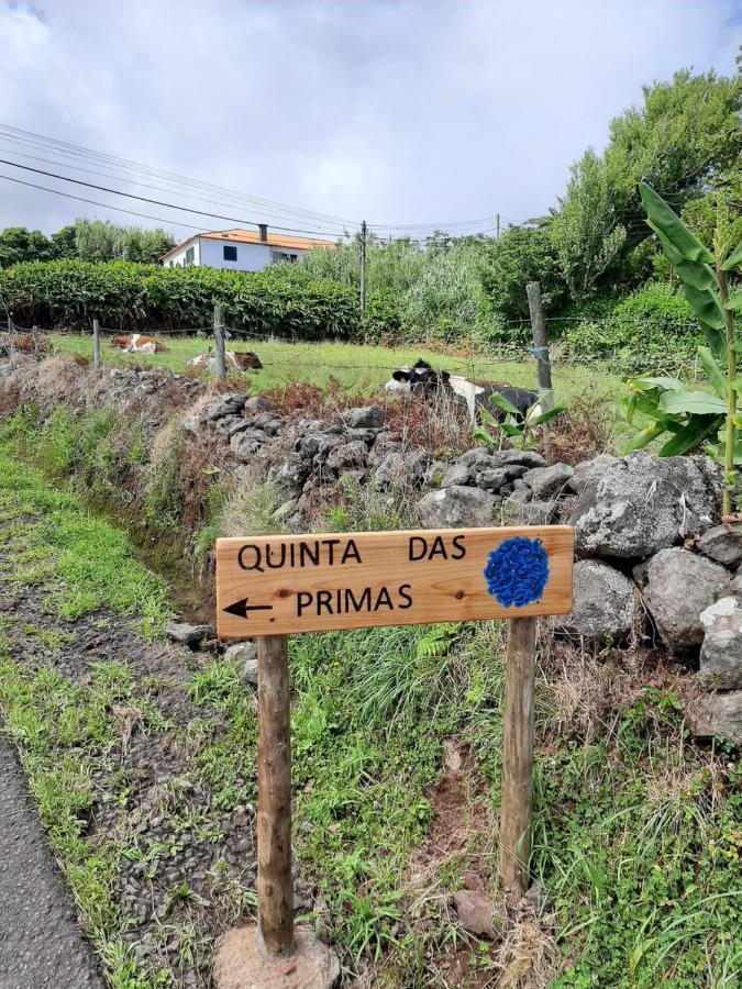 Quinta Das Primas Lomba  Luaran gambar