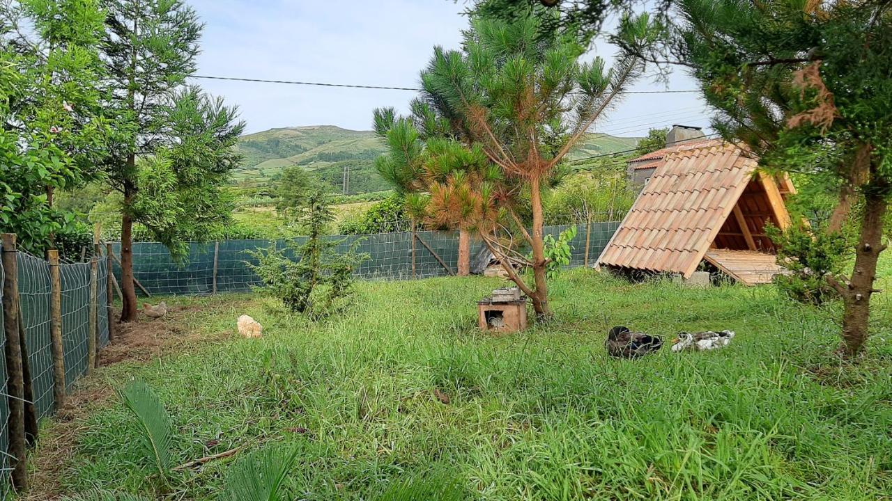 Quinta Das Primas Lomba  Luaran gambar